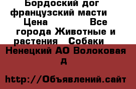 Бордоский дог ( французский масти)  › Цена ­ 50 000 - Все города Животные и растения » Собаки   . Ненецкий АО,Волоковая д.